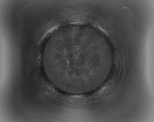 X0000087341351200704201138