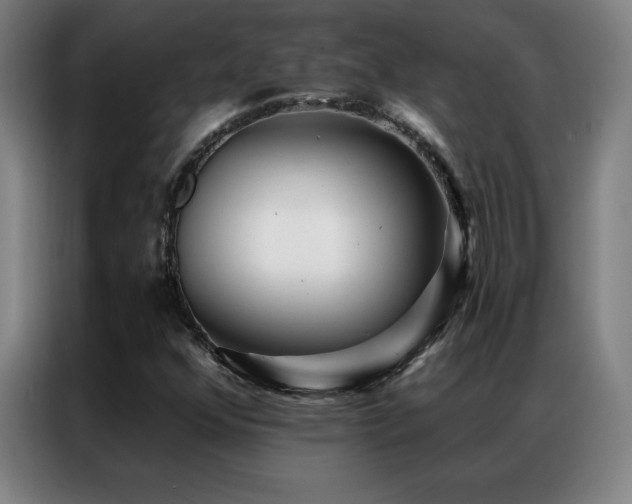 X0000087341352200704201138