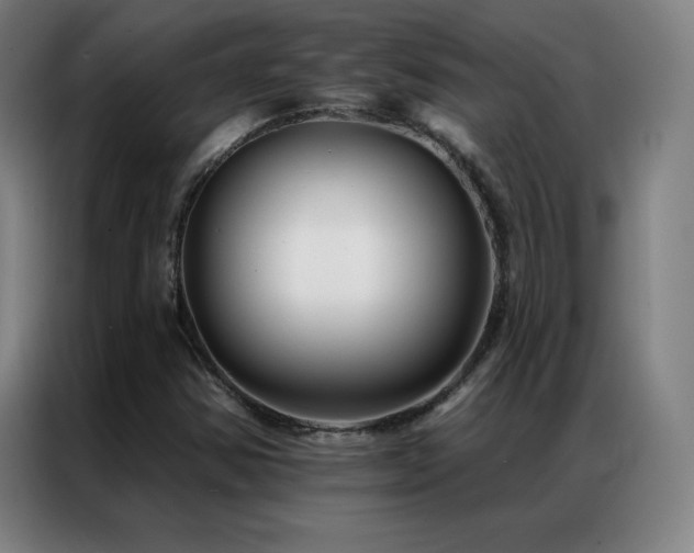 X0000087341354200704201138