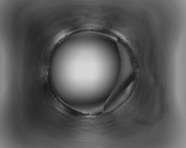 X0000087341355200704201138