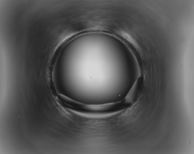 X0000087341356200704201138