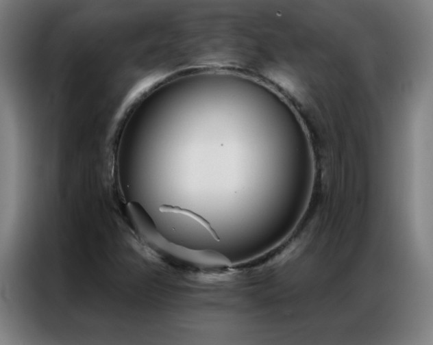 X0000087341358200704201138