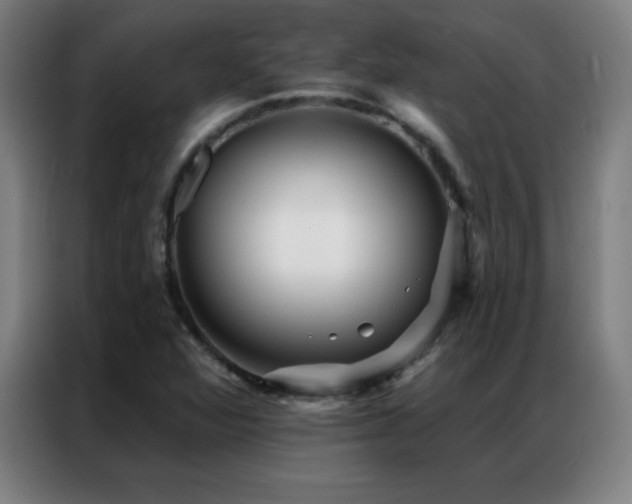 X0000087341360200704201138