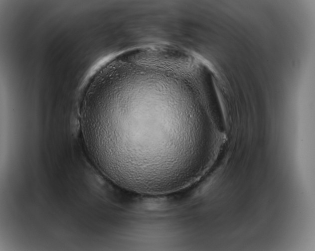 X0000087341363200704201138