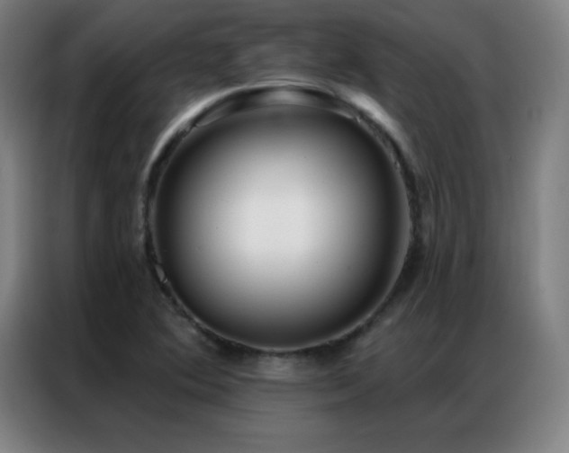X0000087341364200704201138