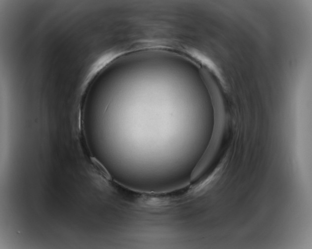 X0000087341365200704201138