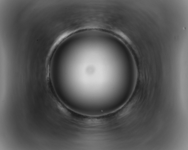 X0000087341366200704201138