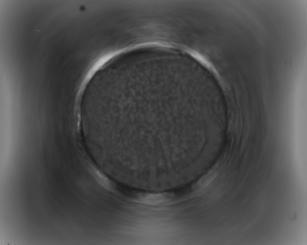 X0000087341367200704201138
