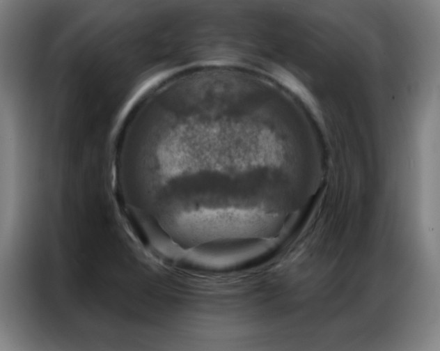 X0000087341368200704201138