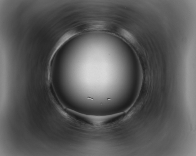 X0000087341370200704201138