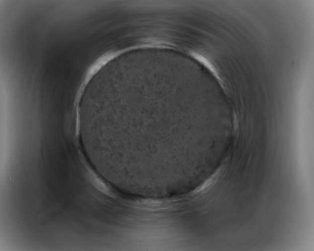 X0000087341371200704201138