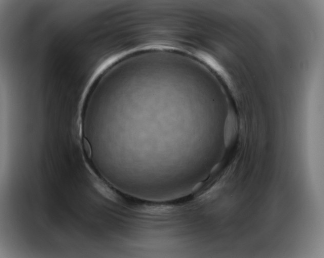 X0000087341372200704201138