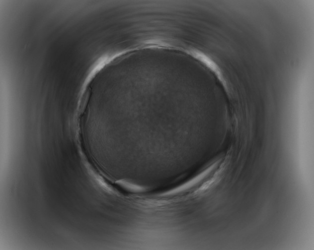X0000087341373200704201138