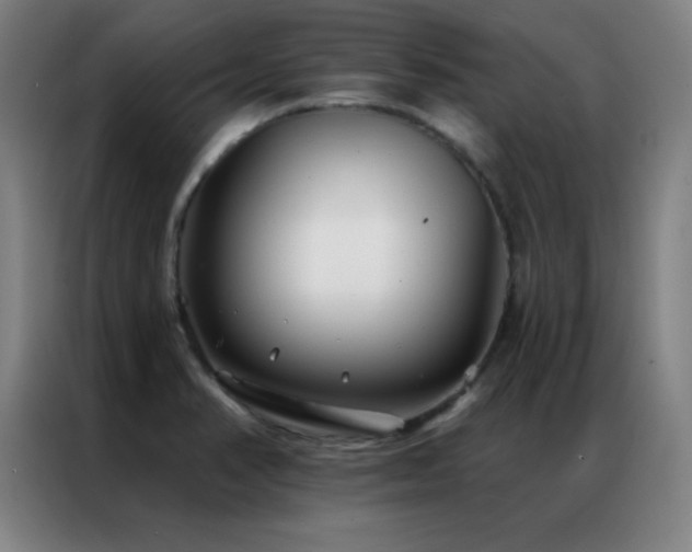 X0000087341374200704201138