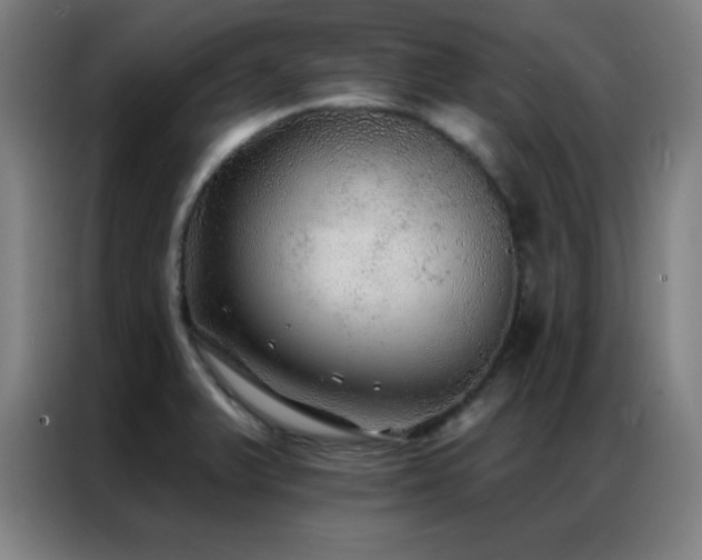 X0000087341375200704201138