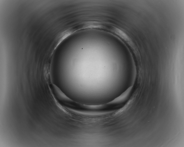 X0000087341377200704201138