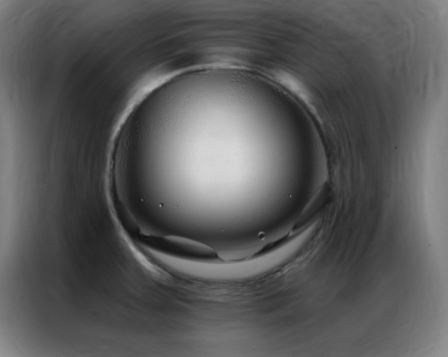 X0000087341379200704201138