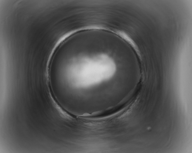 X0000087341380200704201138