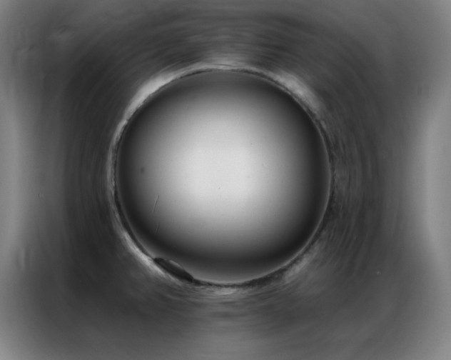 X0000087341382200704201138