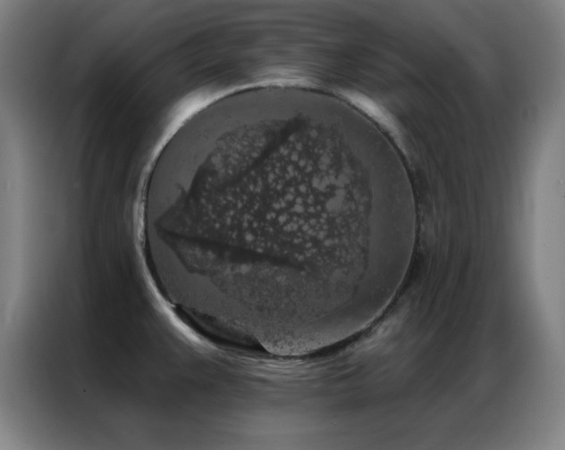 X0000087341383200704201138