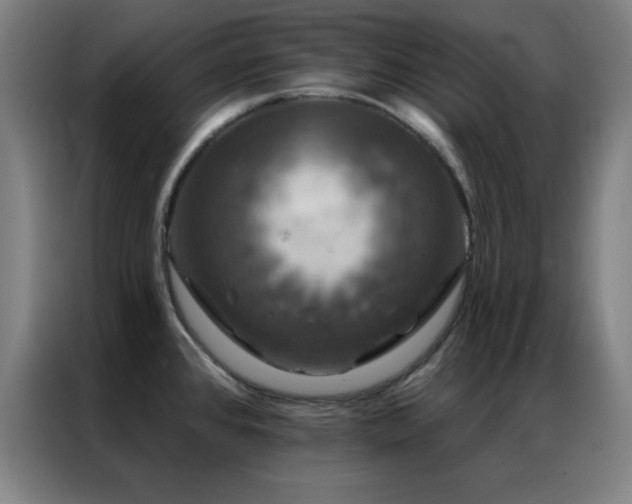 X0000087341384200704201138