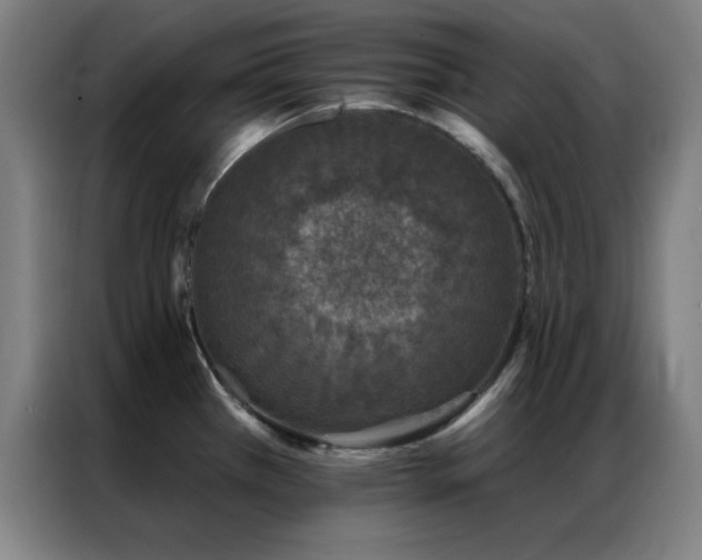 X0000087341385200704201138