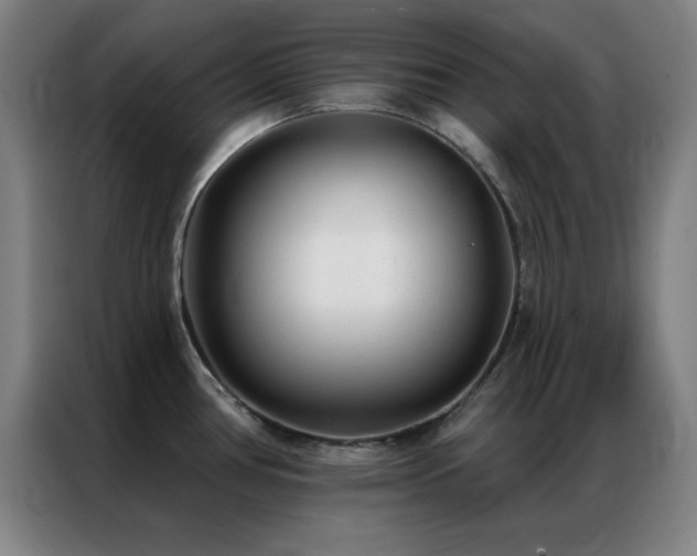 X0000087341386200704201138