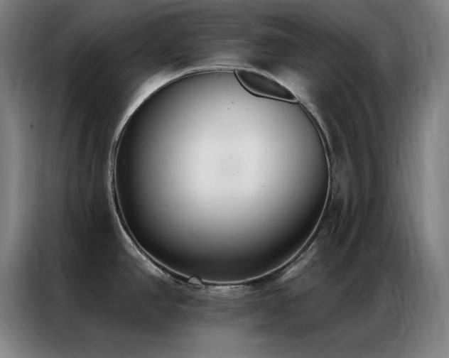 X0000087341390200704201138
