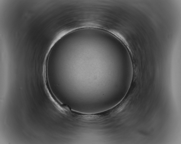 X0000087341391200704201138