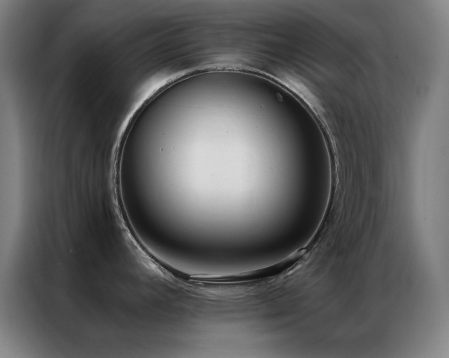 X0000087341392200704201138