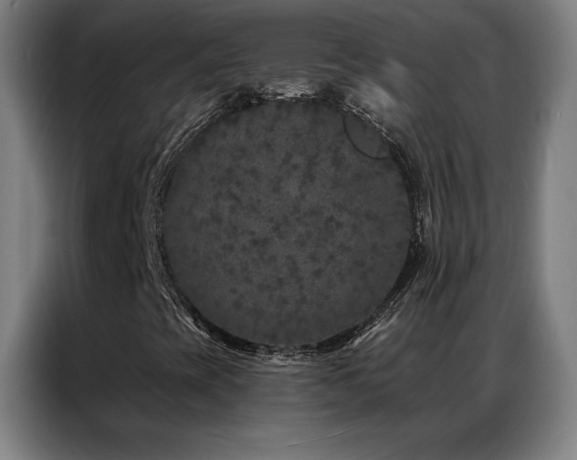 X0000087341393200704201137