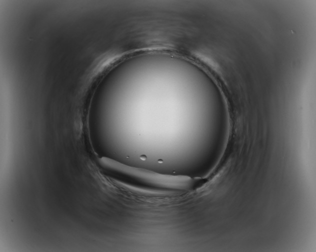 X0000087341407200704201137