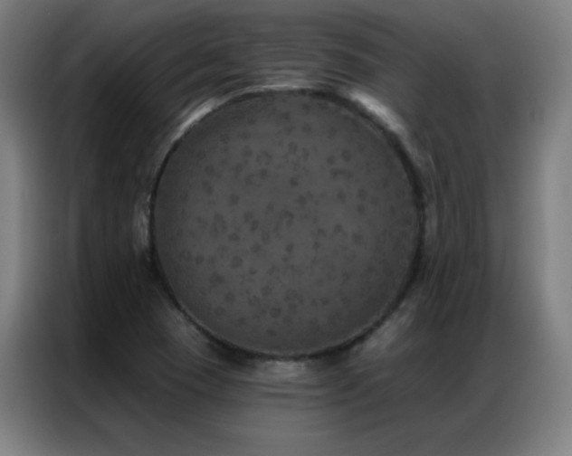 X0000087341409200704201137