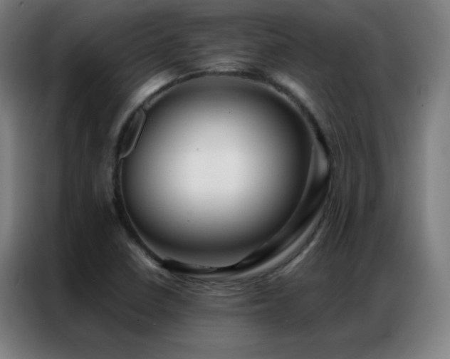 X0000087341410200704201137