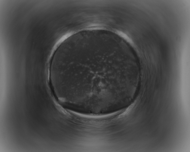 X0000087341413200704201137