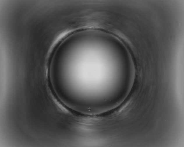 X0000087341416200704201137