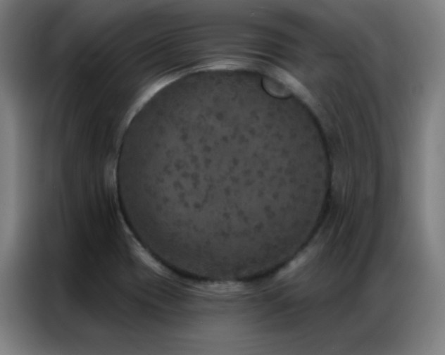 X0000087341417200704201137