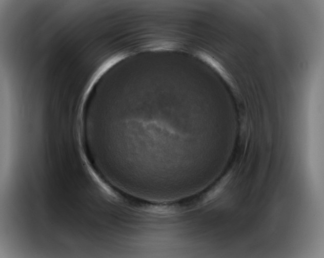 X0000087341418200704201137