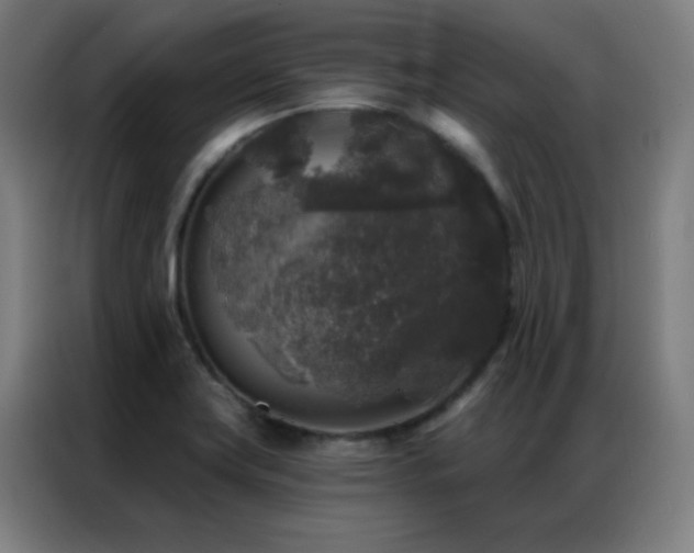 X0000087341419200704201137