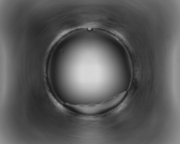 X0000087341422200704201137
