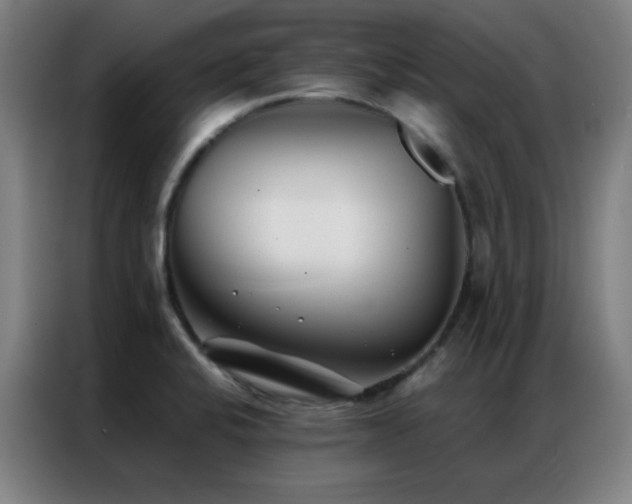 X0000087341424200704201137