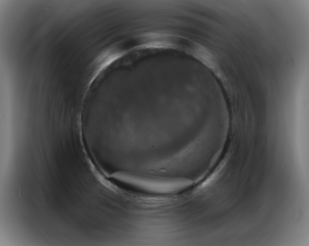 X0000087341425200704201137