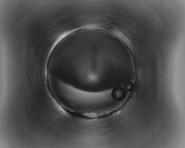 X0000087341428200704201137