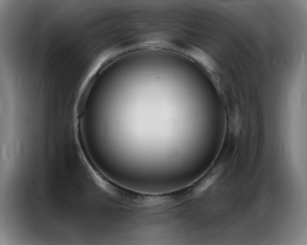 X0000087341430200704201137