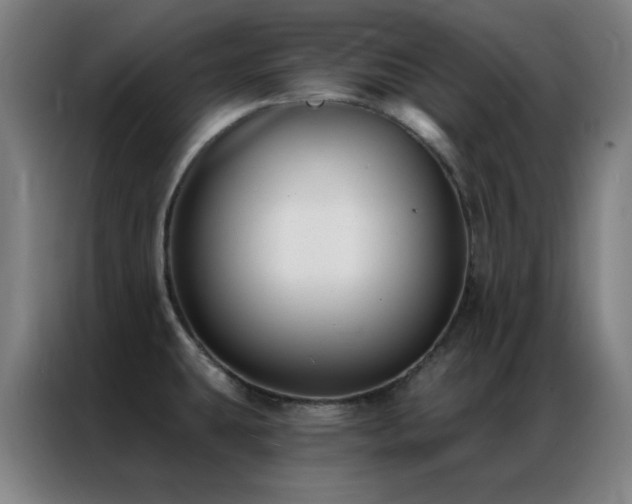 X0000087341431200704201137