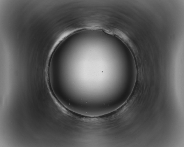 X0000087341432200704201137