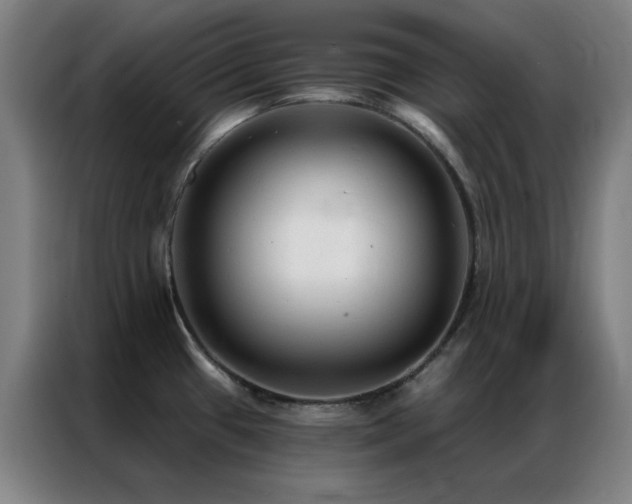 X0000087341433200704201137