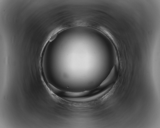 X0000087341434200704201137