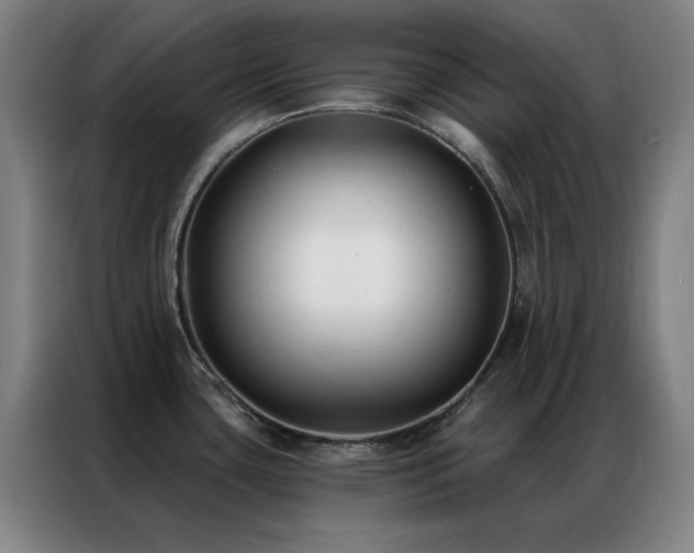 X0000087341435200704201137
