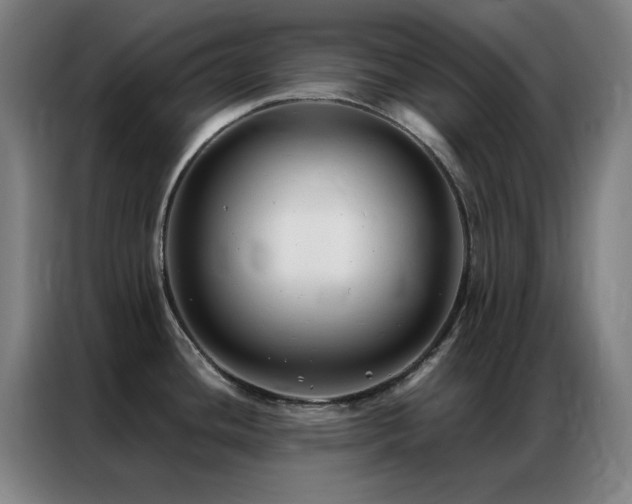 X0000087341436200704201138